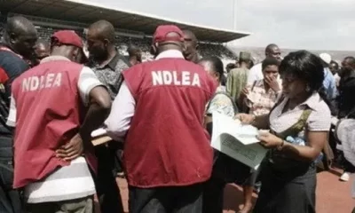 NDLEA Recruitment 2023: The Ultimate Guide to Effortless Registration