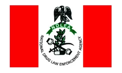 Complete Guide to Applying for the 2023 NDLEA Recruitment Exercise: Steps and Tips for Success